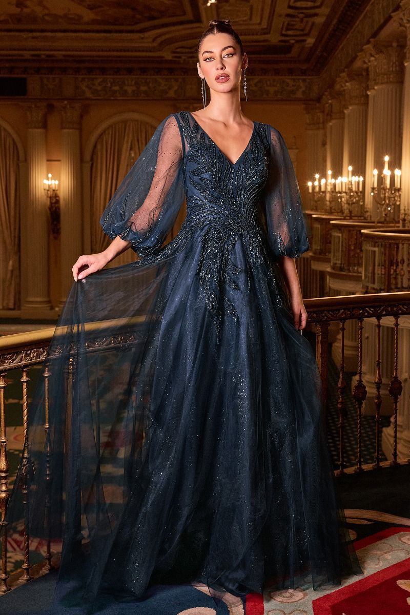 Long Sleeve A-Line Tulle Evening Gown with Embellished Appliqué Bodice