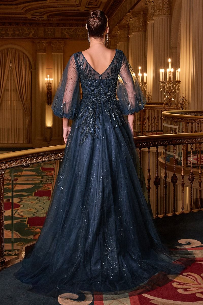Long Sleeve A-Line Tulle Evening Gown with Embellished Appliqué Bodice