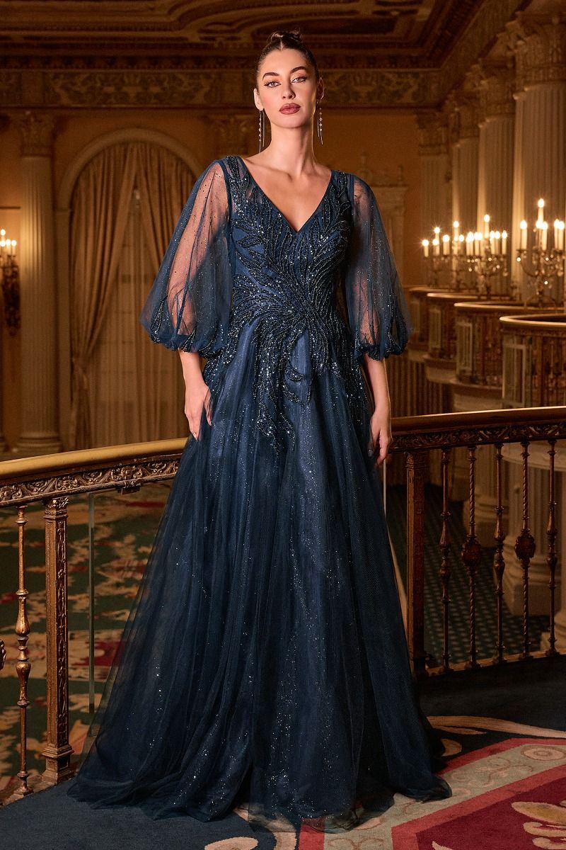 Long Sleeve A-Line Tulle Evening Gown with Embellished Appliqué Bodice