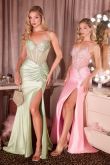 Crystal & Satin Fitted Dress